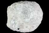 Huge, Celestine (Celestite) Geode ( Lbs) - Top Quality #87137-4